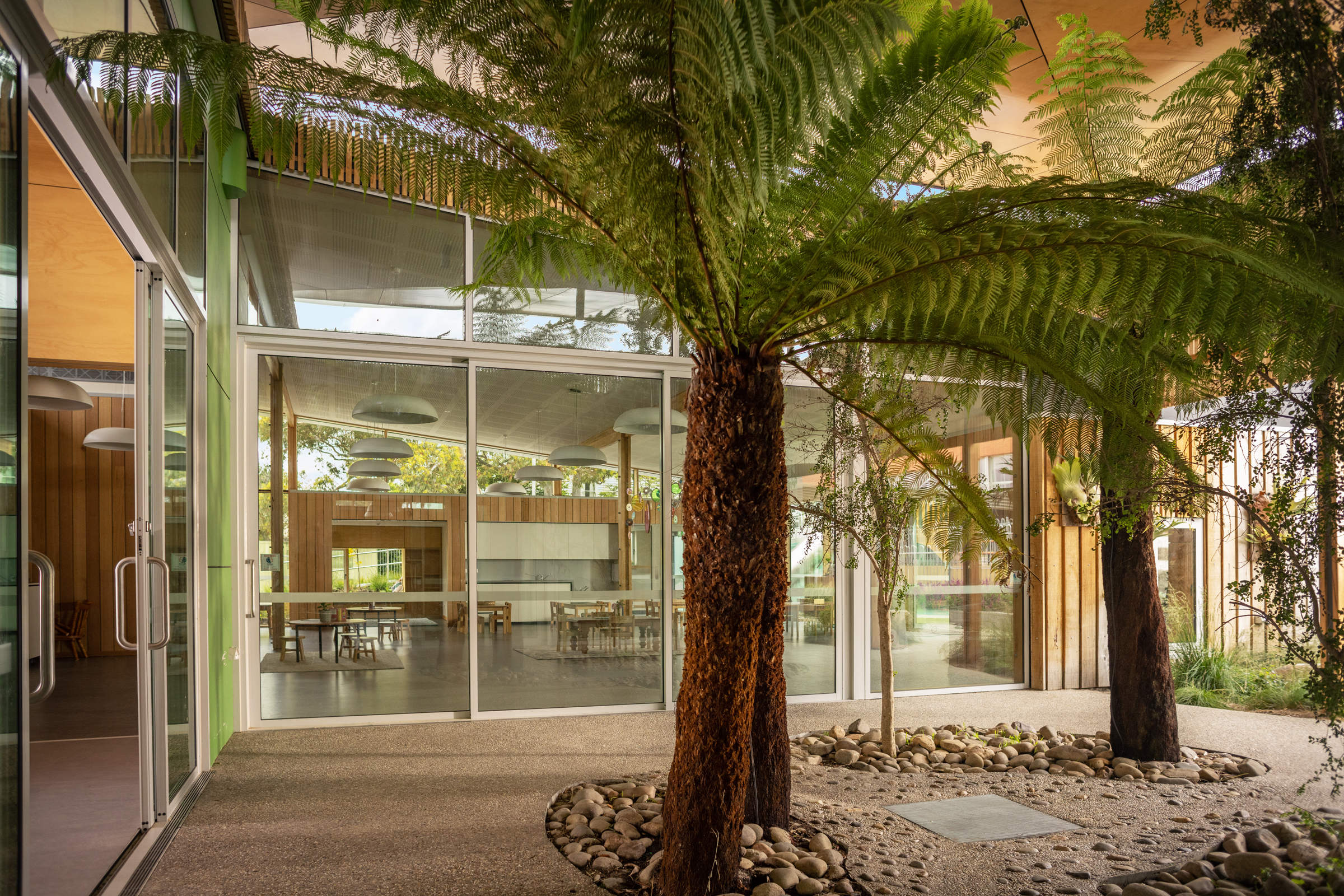 St Cuthbert’s Early Years – Catholic Education Tasmania: A sensual rainforest forms the building heart where rainwater cascades from the atrium oculus through tree-ferns to pebbled floor for water-play. Photo by Gabriel Morrison. Photo by Gabriel Morrison.