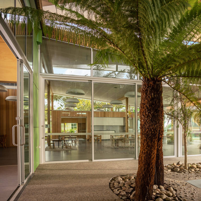 St Cuthbert’s Early Years – Catholic Education Tasmania: A sensual rainforest forms the building heart where rainwater cascades from the atrium oculus through tree-ferns to pebbled floor for water-play. Photo by Gabriel Morrison.