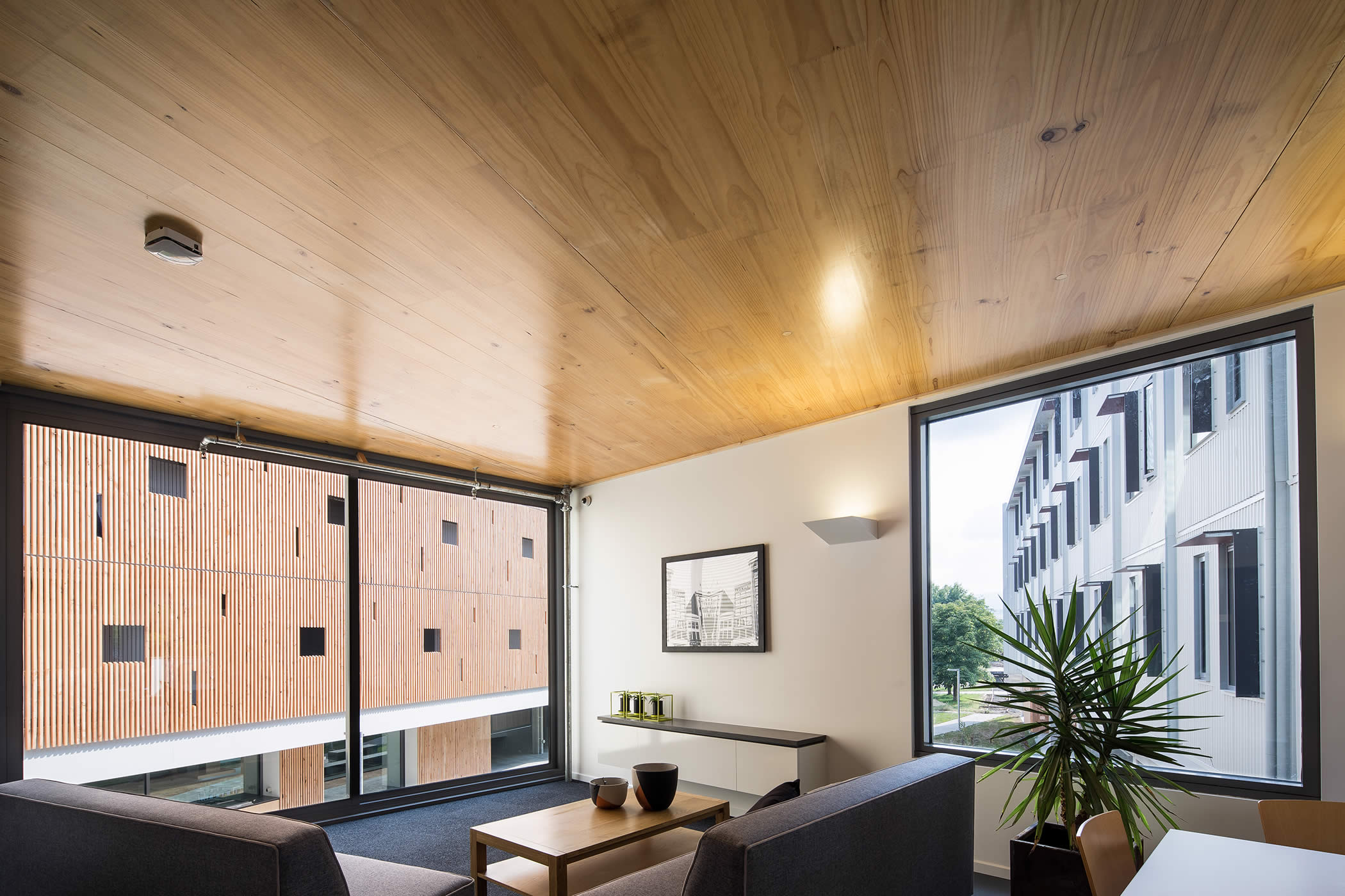 UTAS Inveresk Student Residences, Tasmania: Prefabricated lightweight framed timber construction was combined with structural cross laminated timber (CLT) expressed in corner common room interiors and the stairwells. Photo by Thomas Ryan.